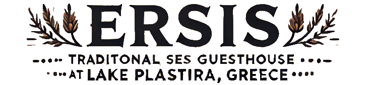 ΞΕΝΩΝΑΣ ERSIS